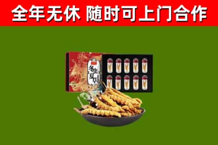 库尔勒市回收冬虫夏草价格